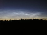 nlc 1__p7147962.jpg